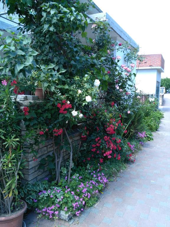 Apartments Pulic สกราดิน ภายนอก รูปภาพ
